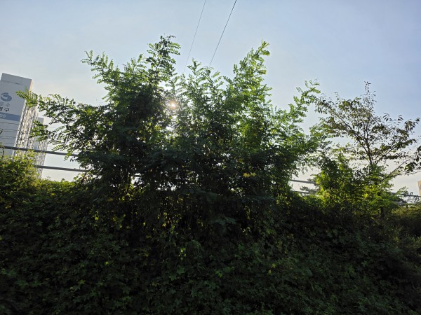 a37027b4dbc38fb9b0acbb8e8fae2912_1790645631_7097.jpg